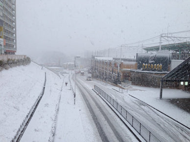 一年で一番寒い日は「大寒」？統計データで見る一番寒い月・日と寒さ対策