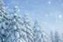【2026年】福岡に雪は降る？いつから降るのか気象庁データをもとに予想！