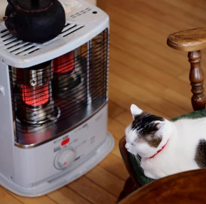 冬に猫が快適に過ごせる室温は？夜暖房なしは大丈夫？停電対策も紹介