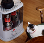 冬に猫が快適に過ごせる室温は？夜暖房なしは大丈夫？停電対策も紹介