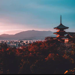 京都の魅力をドライブで満喫！目的別おすすめスポット17選