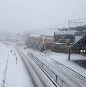 雪害対策を徹底解説！種類・発生原因や雪害事例から学ぶ災害の備え