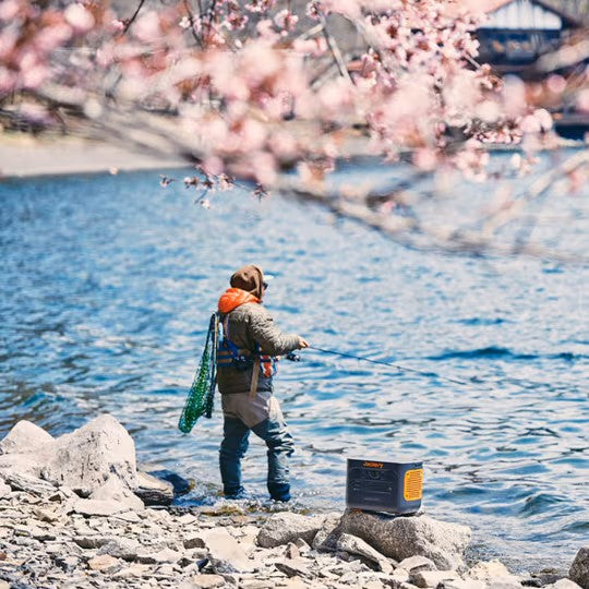 海釣り
