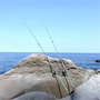 【丸わかり】3月は釣りのチャンス！釣れる魚の種類や必携アイテムも紹介