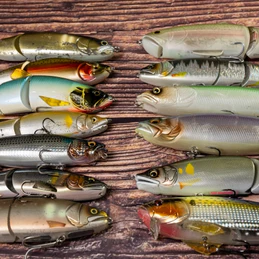 12月の釣りで狙える魚8選！釣り方のコツや冬釣りに役立つアイテムを紹介