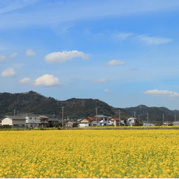 冬のドライブ関東編！女子旅や日帰りにもおすすめのスポット10選