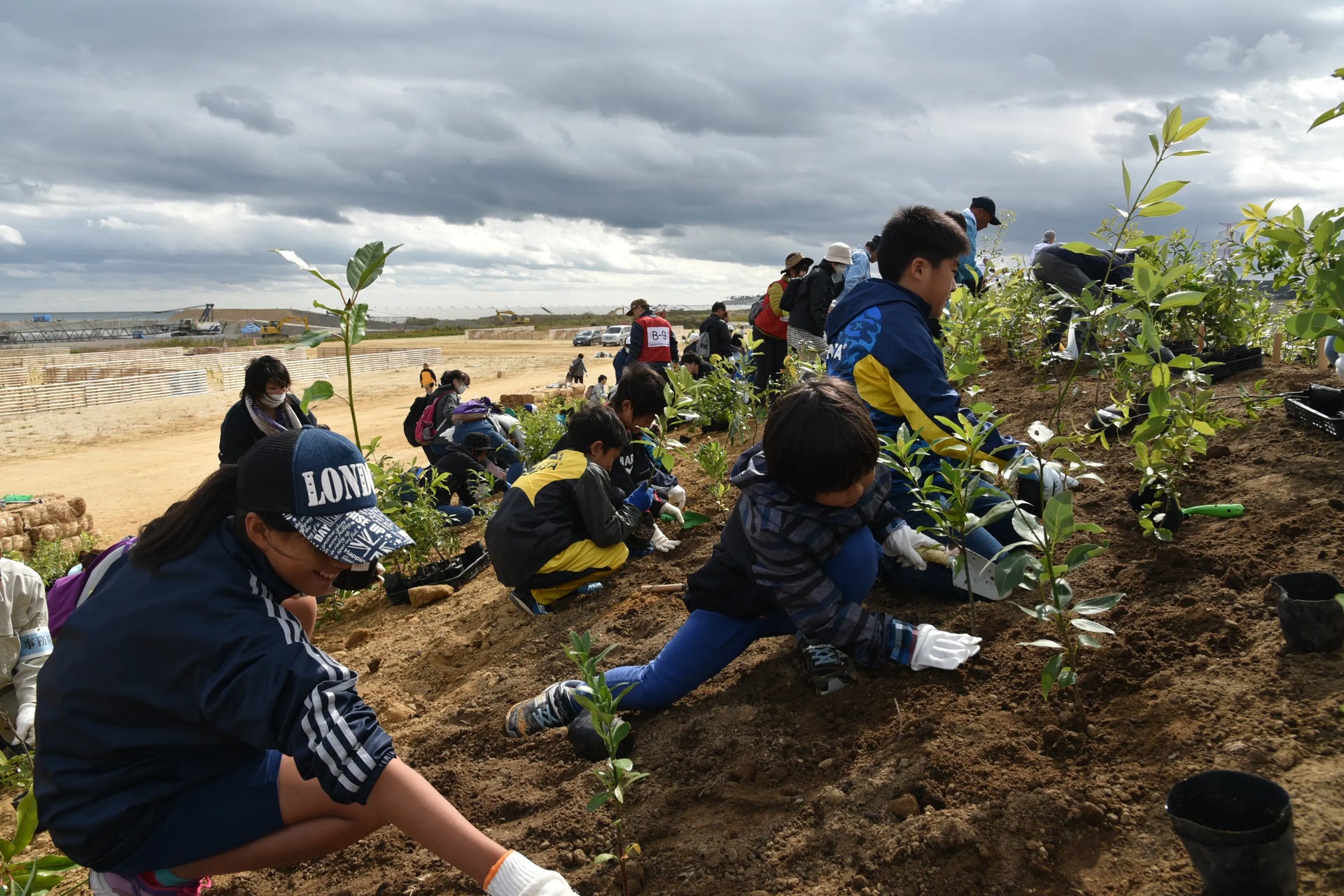鎮守の森　植樹プロジェクト
