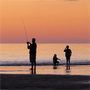 夏の海釣りで釣れる魚種5選！真夏におすすめの夜釣りや注意点も紹介